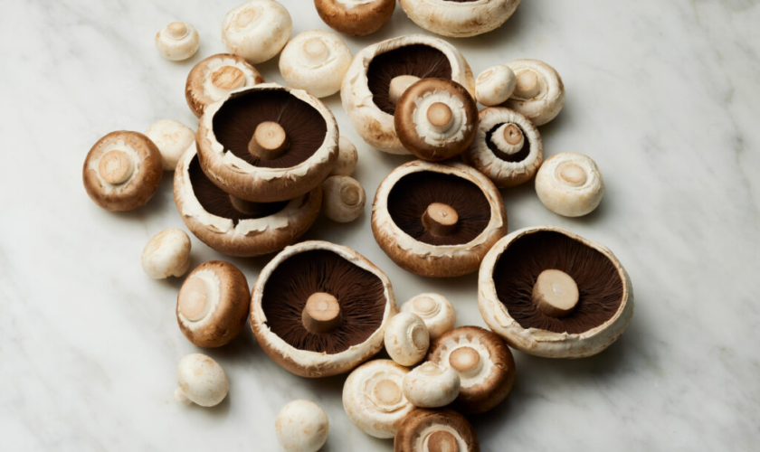 Costas Mushrooms