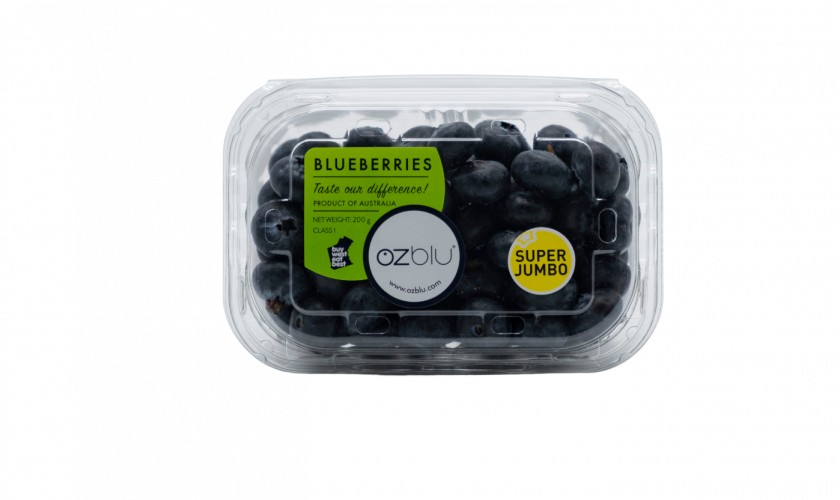 OZblu_Super Jumbo Aus (Large)