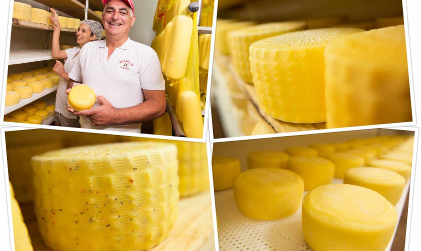 borrello cheese