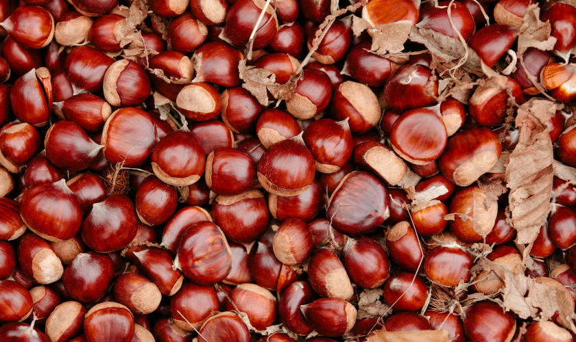 Chestnuts