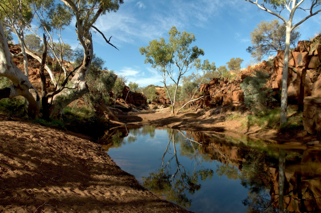 rene riegal western australia