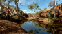 rene riegal western australia