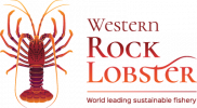 Western Rock Lobster Logo