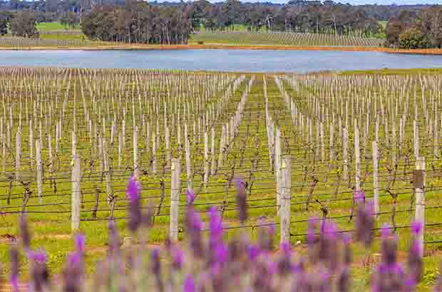 Margaret River