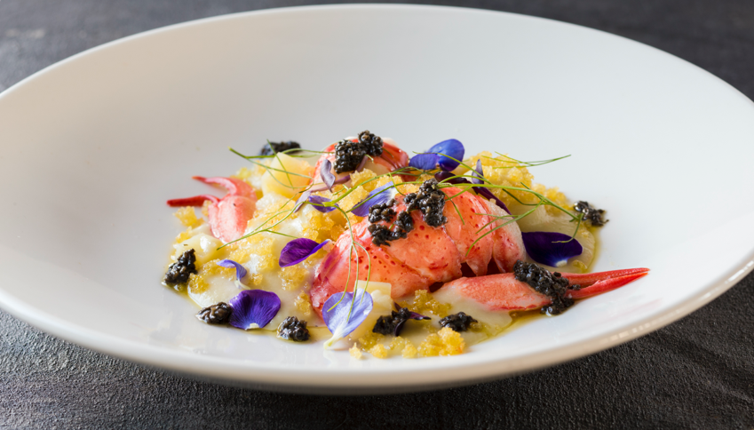 Southern Forest_Maron Dish