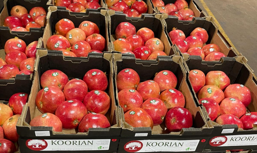 Koorian Farming Pomegranates