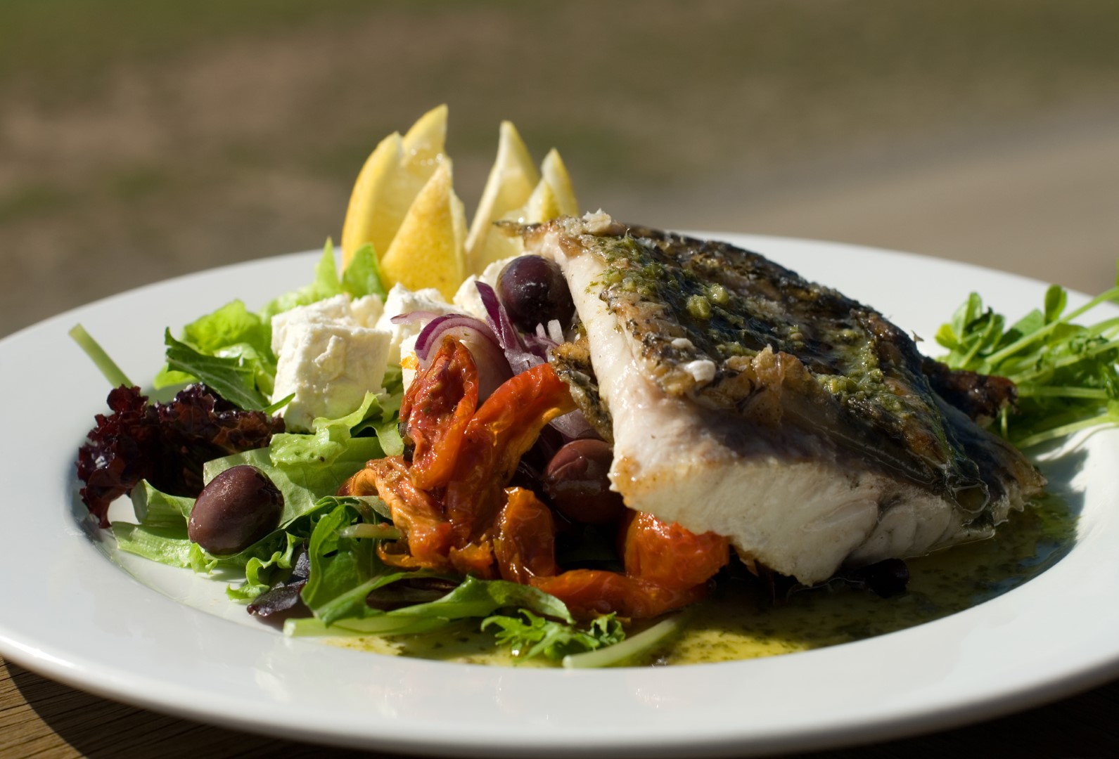 Barramundi with Greek salad Recipe | Buy West Eat Best