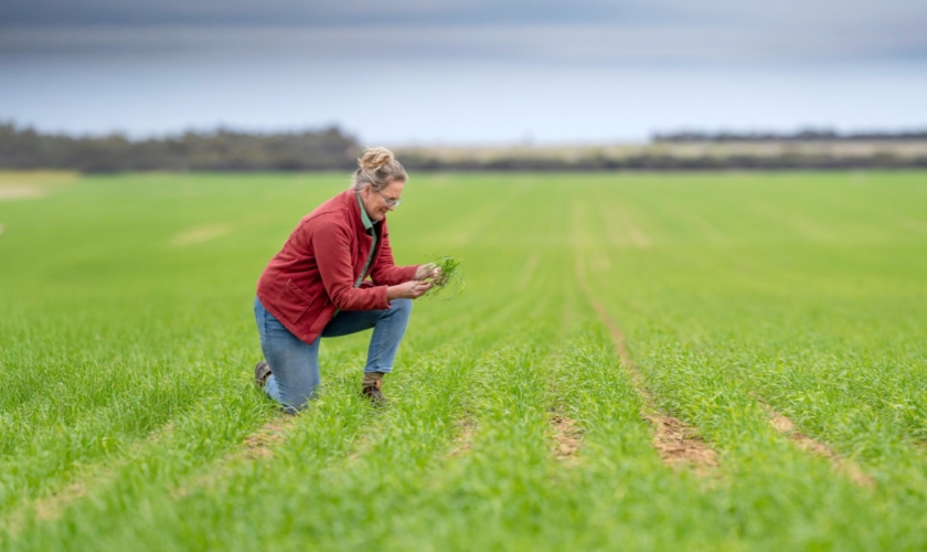 GIWA website event image_ (Large)