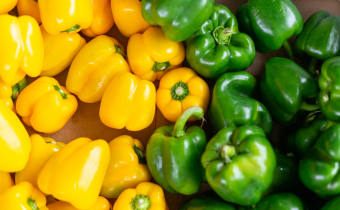 Winter Farmers Market by Luke Williams (Large)