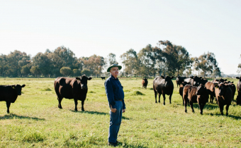 Amelia Park Cow Farm - Craig Mostyn Group