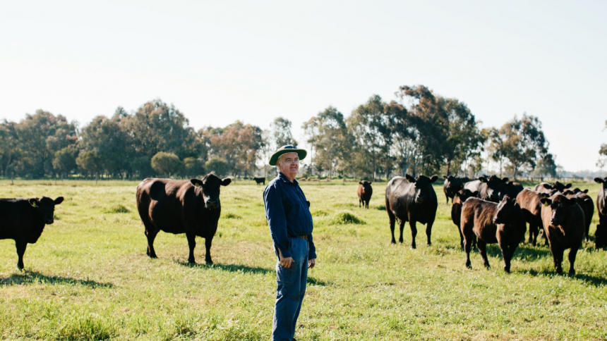 Amelia Park Cow Farm - Craig Mostyn Group