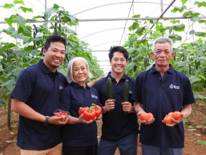 Suncity Produce