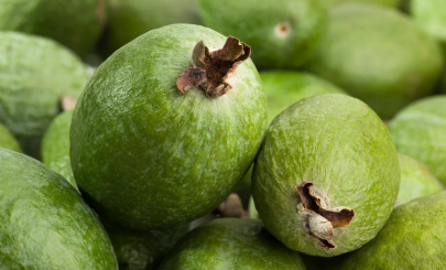 feijoa