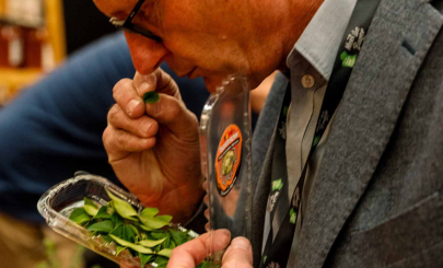 KB Russell Blaikie smelling herbs EDITED DSC05565 landscape