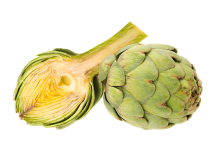 globe artichoke
