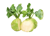 kohlrabi