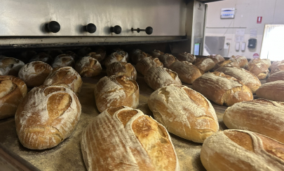 loafers artisan