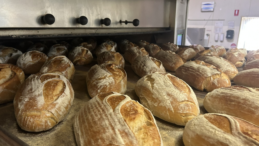 loafers artisan