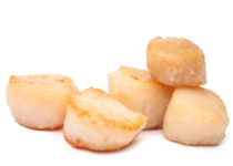 scallops