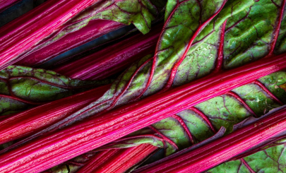 rhubarb