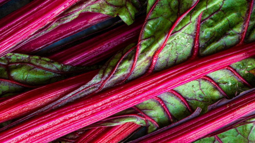 rhubarb