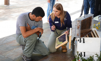 World Bee Day #2 FILE IMAGE (Large)