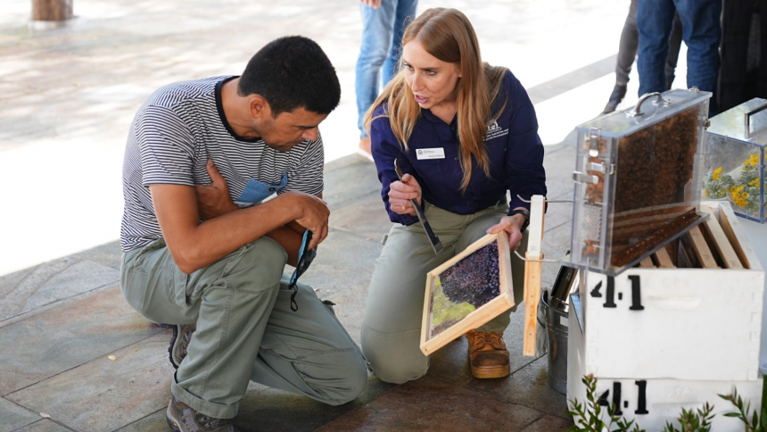 World Bee Day #2 FILE IMAGE (Large)