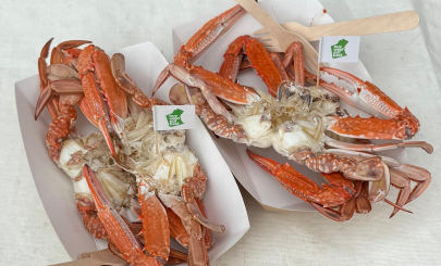 6b1e486b a9ec 44b2 9522 1661977d8466