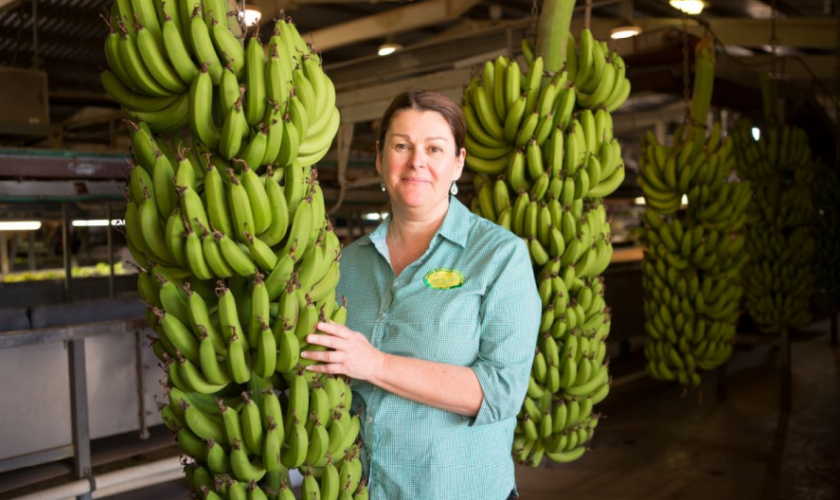 sweeter banana Doriana_2