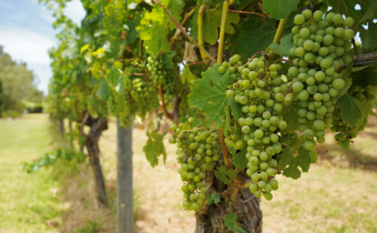 south west margaret river