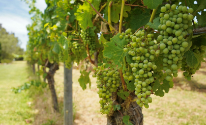 south west margaret river