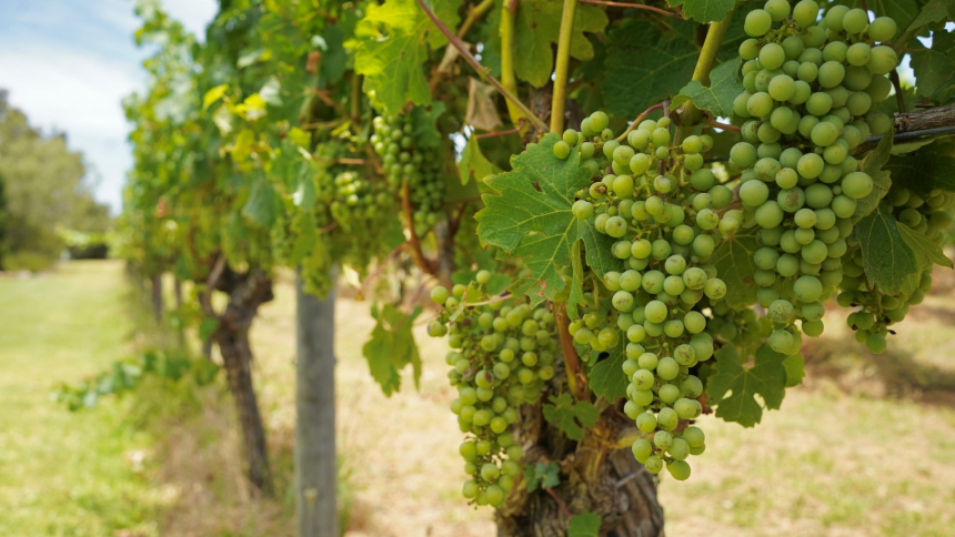 south west margaret river