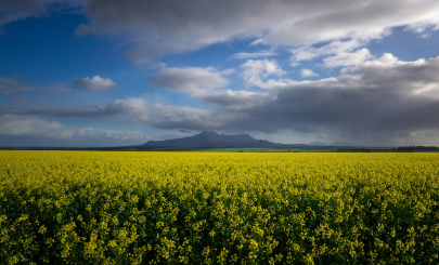 Stirling Range National Park WA 6338, Australia