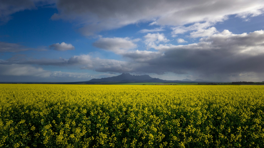 Stirling Range National Park WA 6338, Australia