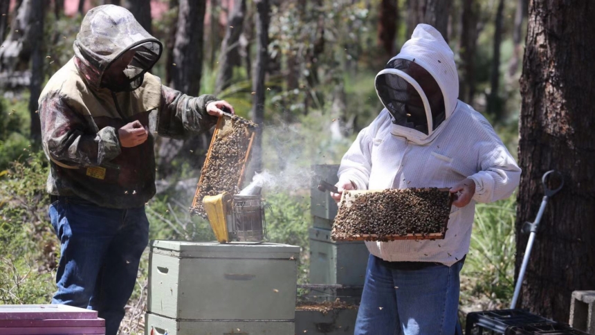 Karibee Honey