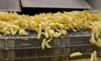 Chips on conveyor