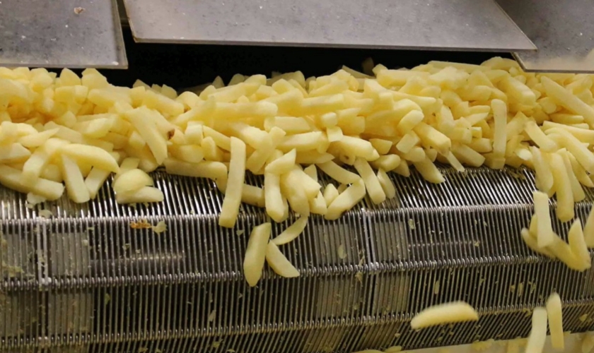 Chips on conveyor