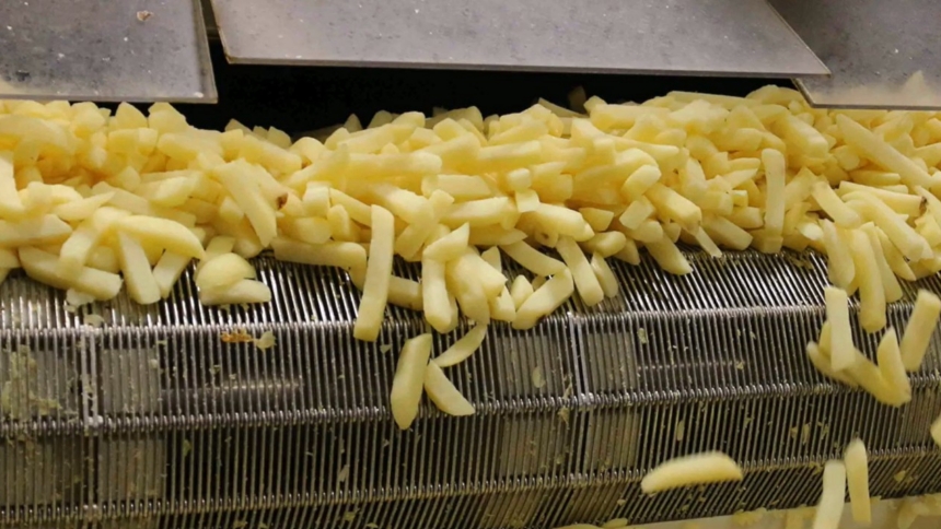 Chips on conveyor