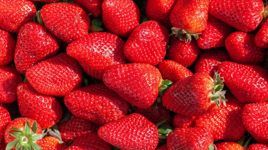 strawberries (Large)