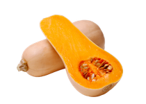 Butternut squash